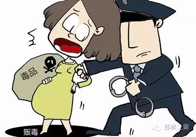 2016年初，涉縣警方查獲一起涉毒案件，鑒于該案涉案人員多、毒品交易量大，涉縣警方立即將案情上報，被公安部確立為“目標-2016-314”號毒品案件。涉縣警方成立專案組，經過多方追查，先后抓獲團伙人員13名，繳獲毒品5349克，并查明上線“濮姐”的真實身份為陳某。
